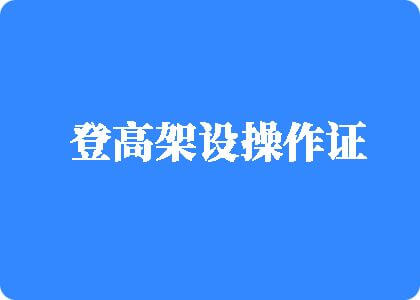 日韩肥逼登高架设操作证